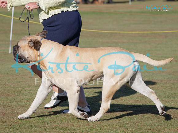 KB010705