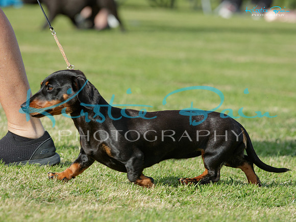 KB019641