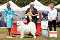 Best in Show