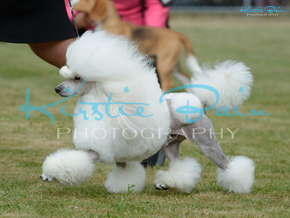 KB017784