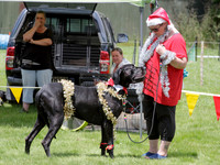 MKA Bark in the Park for a Lark Xmas