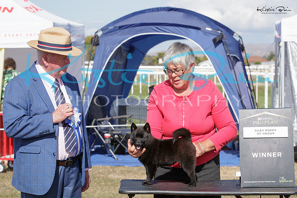 KB015979