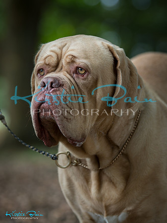KBP14291