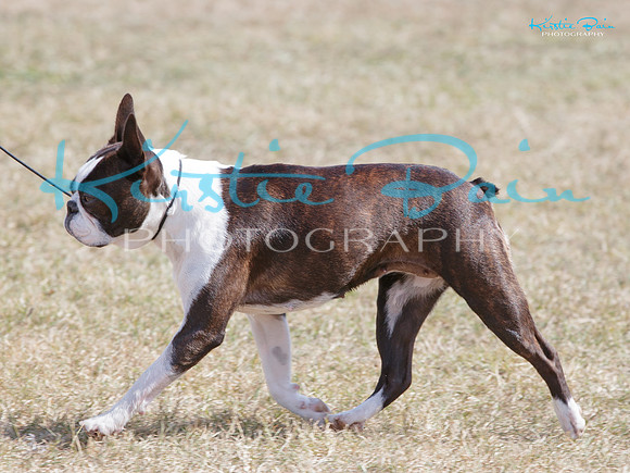 KB016654