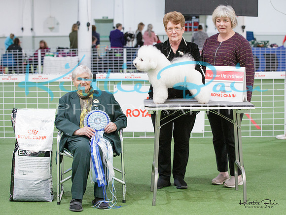 KBP11557