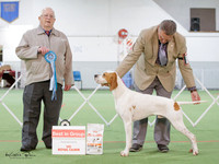 Gundogs
