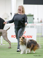 Upper Hutt Kennel Association