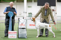 Best in Show