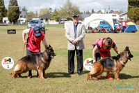 Best of Breed