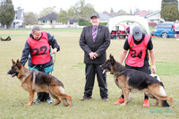 Stock Coat Dogs