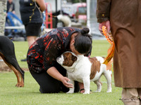 Auckland Exhibition Centre Benefit Show