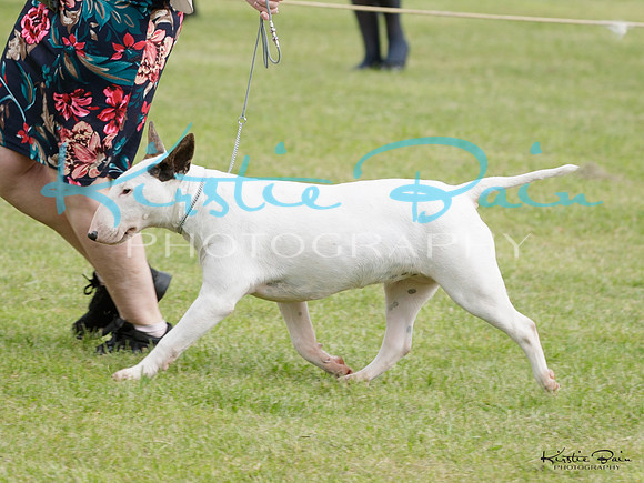 KBP10422