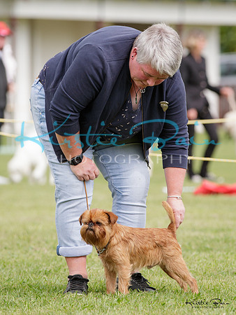 KBP10603