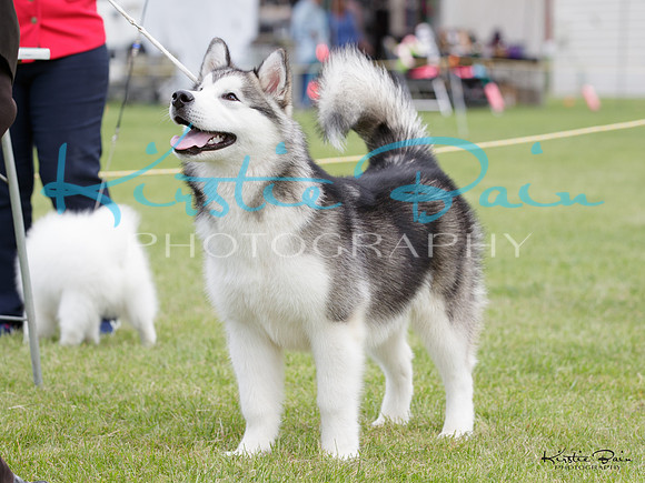 KBP11220