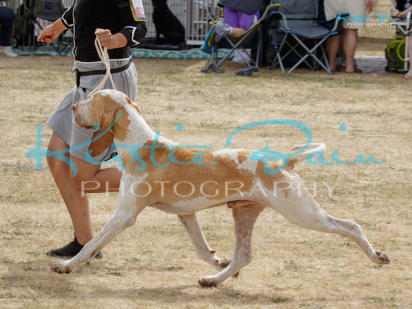 KBS14149