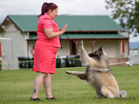 Tauranga Kennel Association