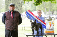 Best in Show