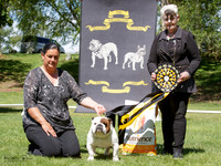 Best in Show