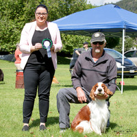 Gundogs