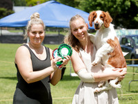 Gundogs