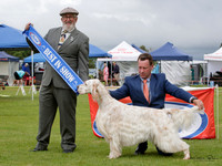 Best in Show