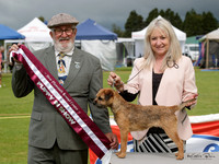 KBP16170
