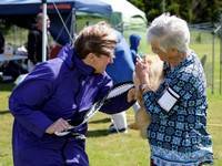 Sunday Best in Show