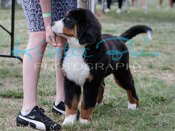 KBP24284
