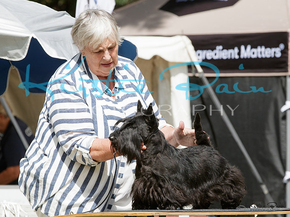 KBP17613