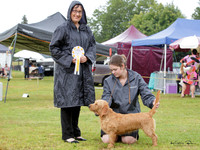 Hounds