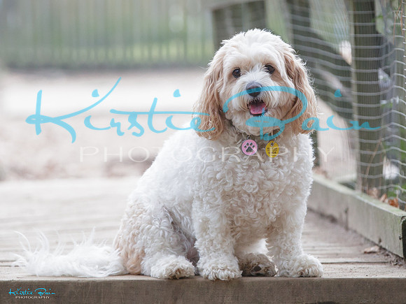 KB014241