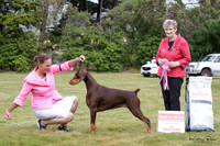 Best in Show