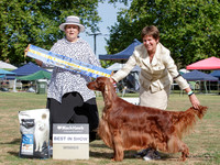 Bay of Plenty Gundog Show Society