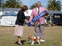 Sunday Best in Show