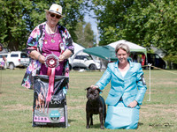 KBP28655