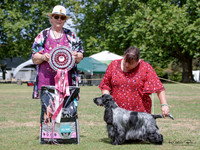 Best in Show