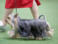 KBP29682