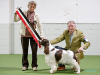 Best in Show