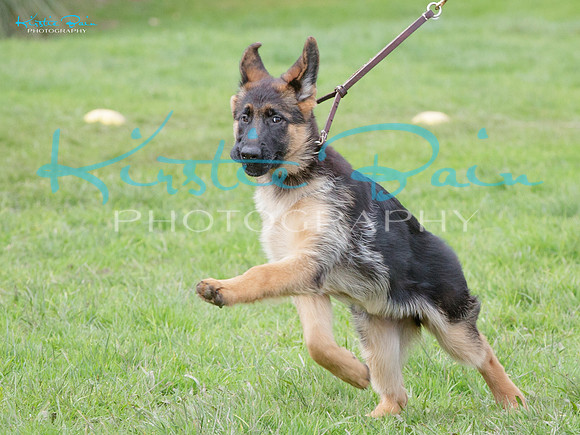 KBP25291