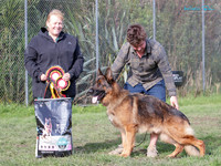 Best in Show