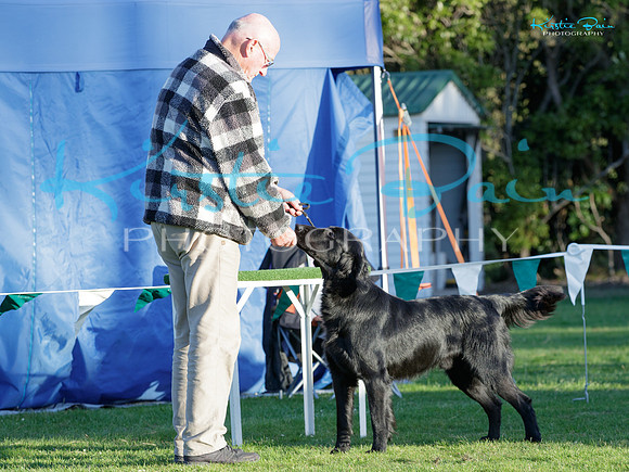 KB018900