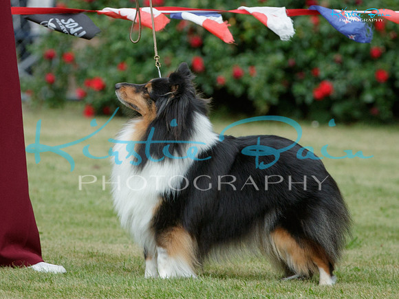 KB017791
