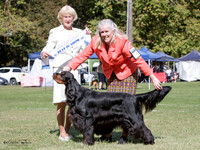 Best in Show