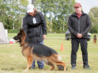 Long Stock Coat Best of Breed