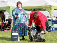 Gundogs