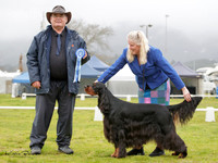 Best in Show
