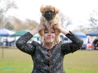 Huntly & District Kennel Association