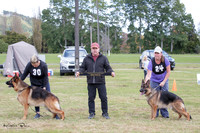 Stock Coat Dogs