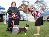 Best in Show