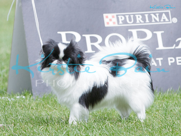 KB015613